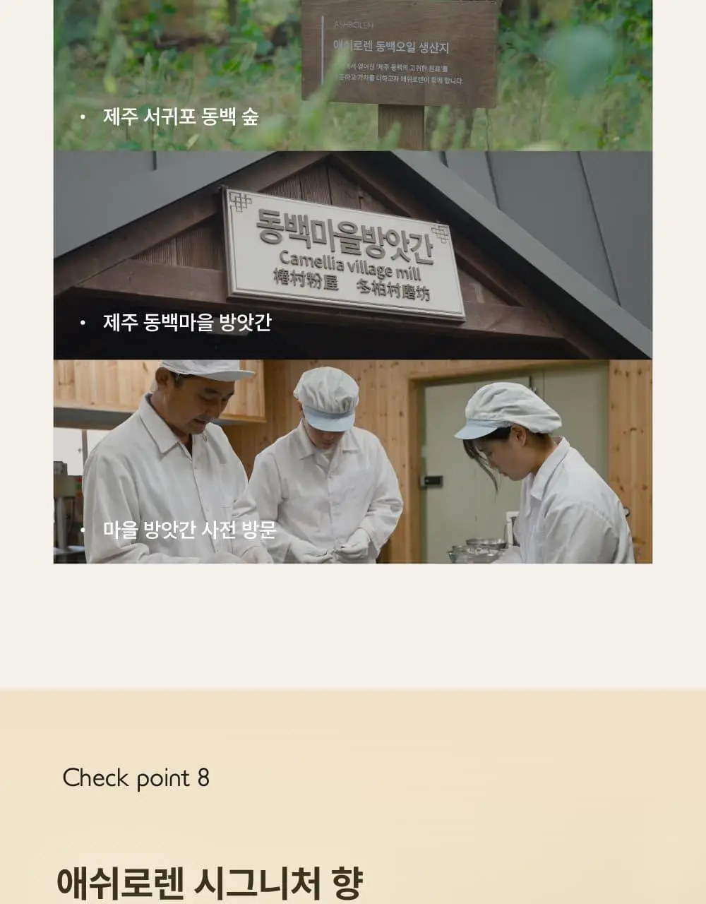 [끈적임제로/열보호] 애쉬로렌 제주 동백오일 헤어에센스 80ml 상세페이지 45